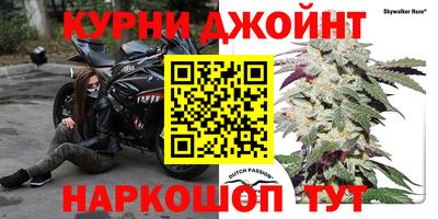 амф Малгобек