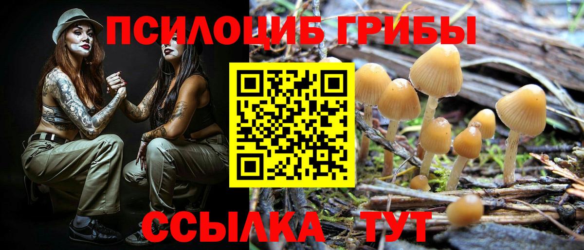 Верхний Уфалей  Псилоцибиновые грибы мухоморы  Галлюциногенные грибы мухоморы  наркота  Вход с VPN 
