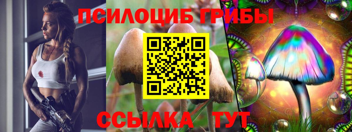 Галлюциногенные грибы мицелий Верхний Уфалей
